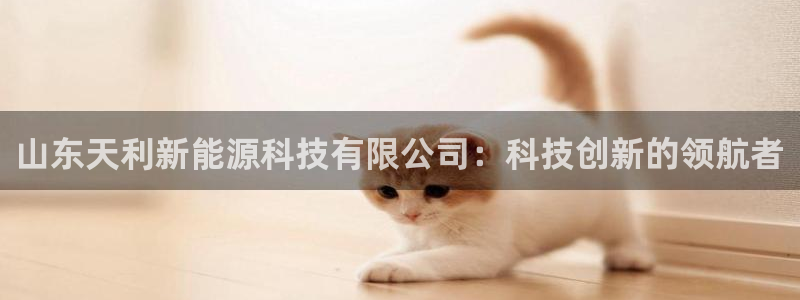 新宝GG 黑钱