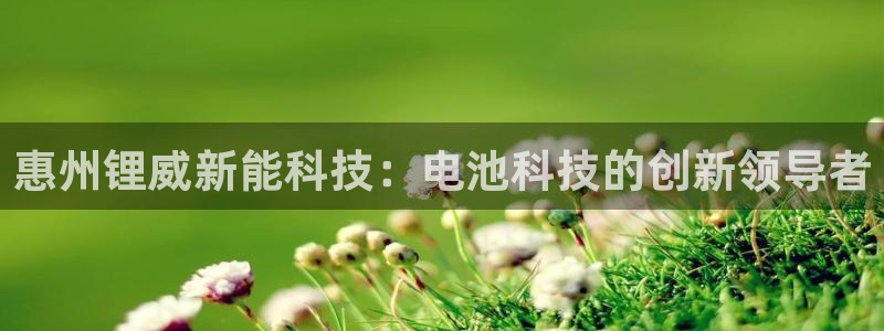 新宝gg创造奇迹 新宝gg