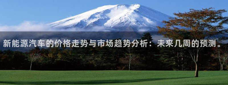 新宝gg老板64491