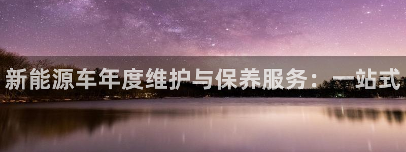 新宝GG苹果版：新能源车年度维护与保养服