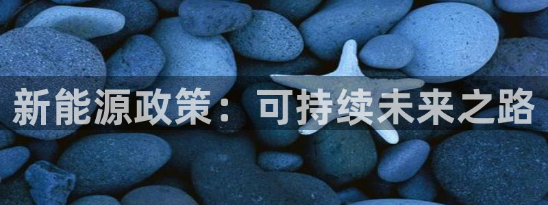 新宝GG傲78778：新能源政策：可持续
