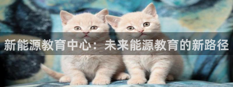 新宝gg娱乐盟主：新能源教育中心：未来能