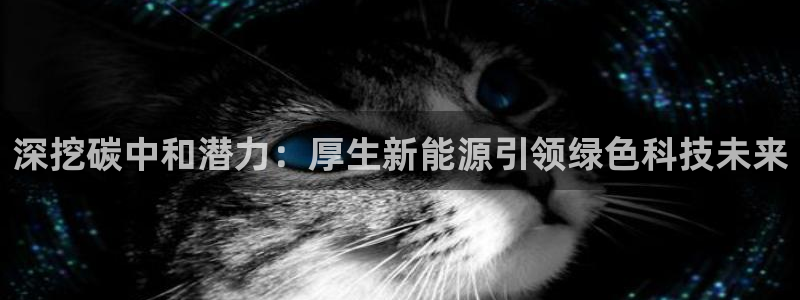 新宝gg dengludizhi
