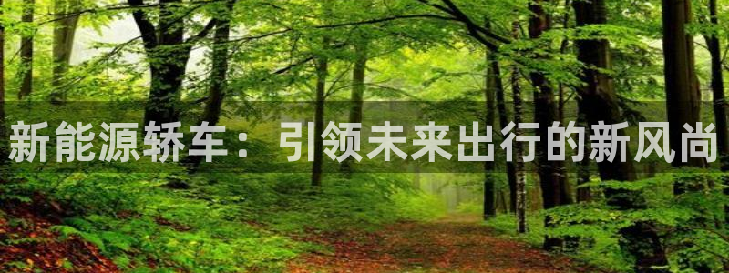新宝gg返点模式