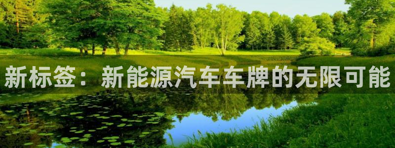 新宝gg登陆
