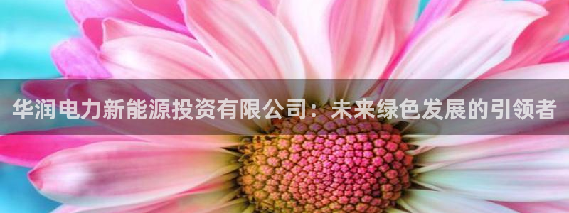 新宝平台gg