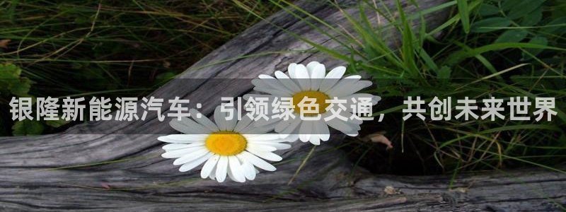 新宝gg平台首页