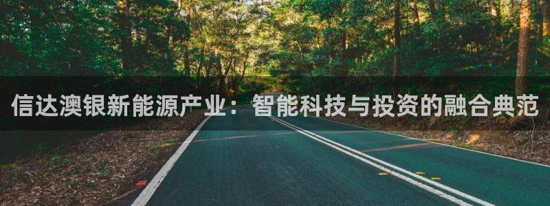 新宝GG上级