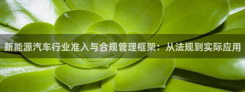 新宝gg怎么开户
