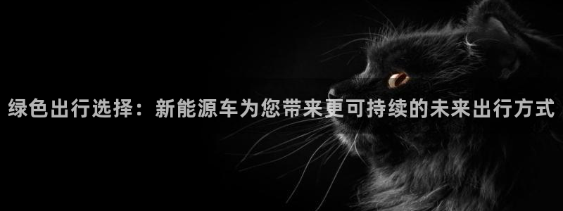 新宝gg创造奇迹下载