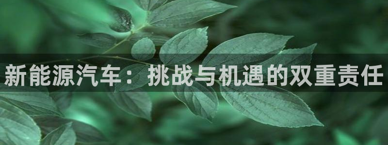 新宝gg最新章节：新能源汽车：挑战与机遇