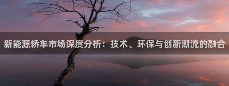新宝gg指定平台：新能源轿车市场深度分析