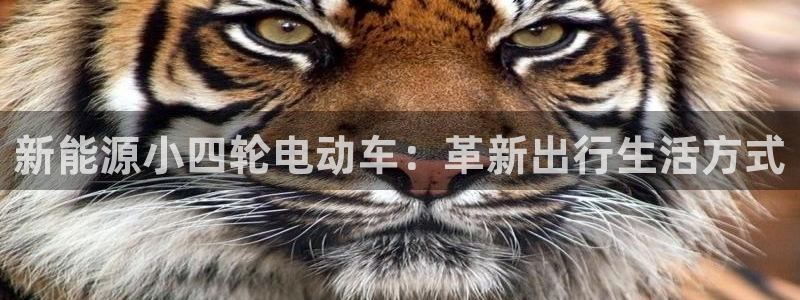 新宝gg注册cqdellar：新能源小四