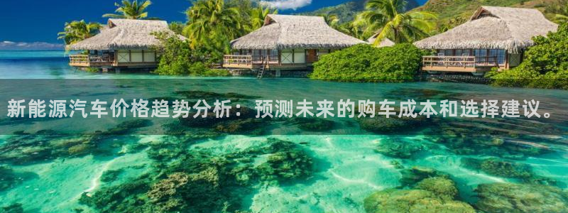 新宝GG湫33 300:新能源汽车价格趋势分析:预测未来的购