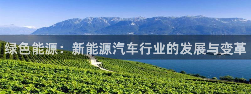 x新宝gg:绿色能源:新能源汽车行业的发展与变革