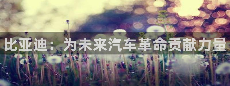 新宝gg黑平台