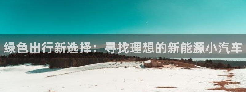 网站是新宝gg