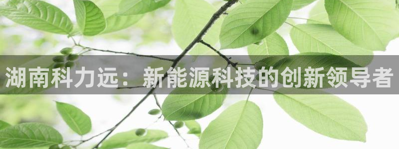 新宝gg开号：湖南科力远：新能源科技的创