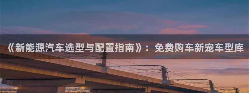 新宝 gg 登录注册：《新能源汽车选型与