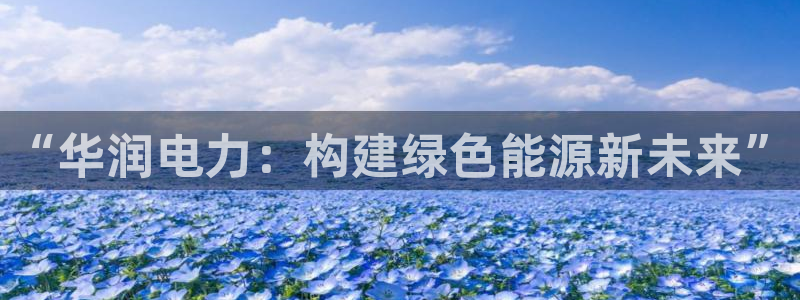 66新宝gg：“华润电力：构建绿色能源新