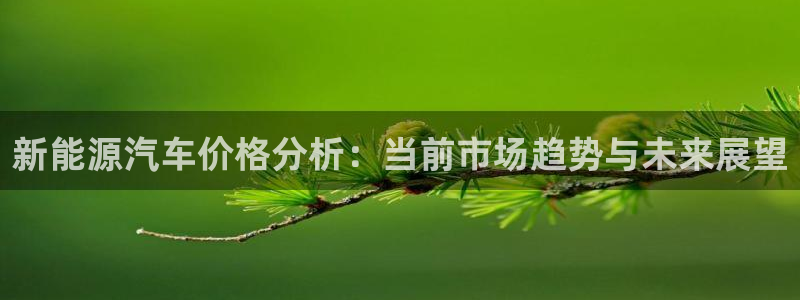 新宝gg返点模式:新能源汽车价格分析:当前市场趋势与未来展望