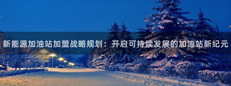 新宝gg网娱乐：新能源加油站加盟战略规划