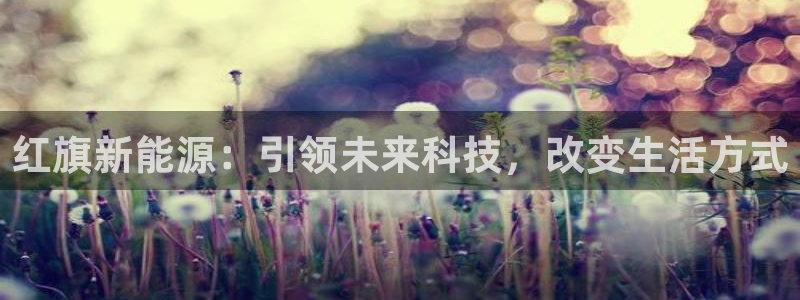 新宝GG 黑钱：红旗新能源：引领未来科技