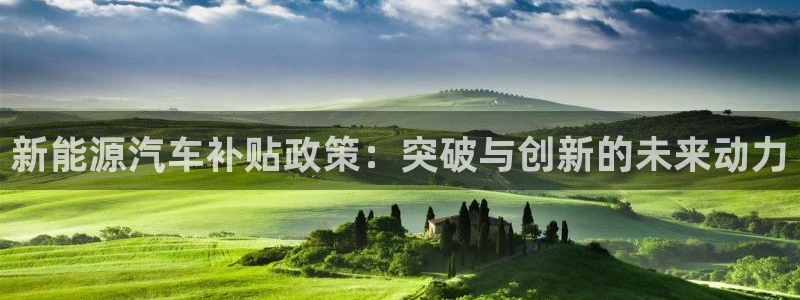 新宝gg图片