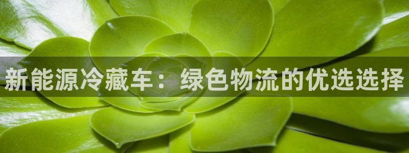 新宝gg如何代理:新能源冷藏车:绿色物流的优选选择