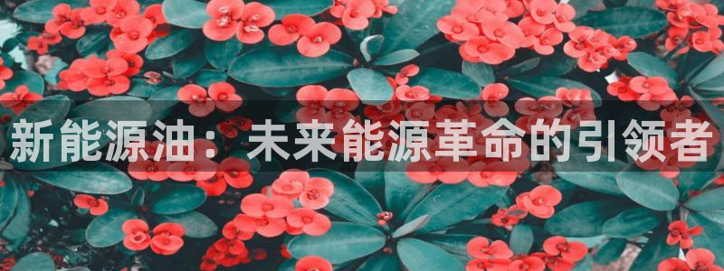 新宝gg创建奇迹