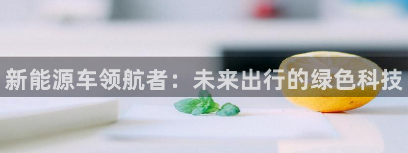 新宝gg工资