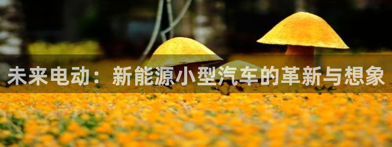 新宝GG娱乐-上皇巢网