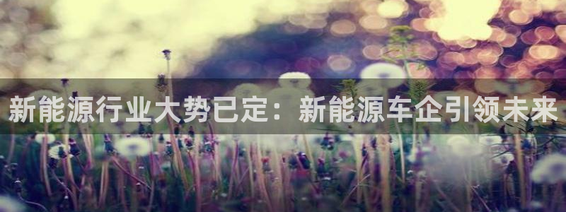新宝gg 彩票