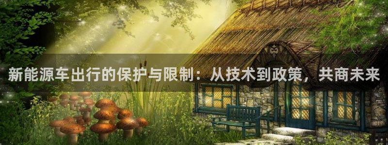 新宝gg黑平台：新能源车出行的保护与限制