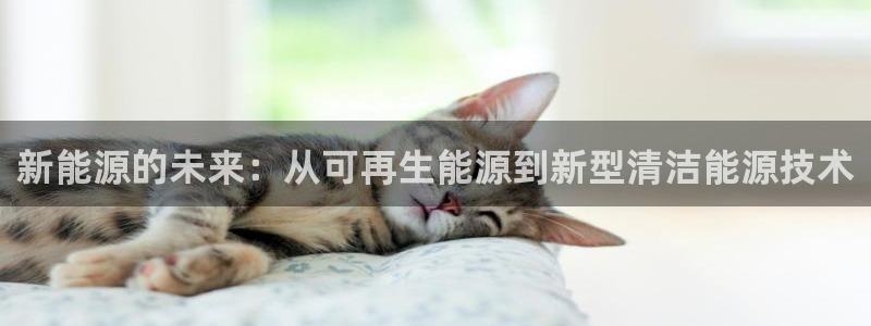 新宝gg 039：新能源的未来：从可再生