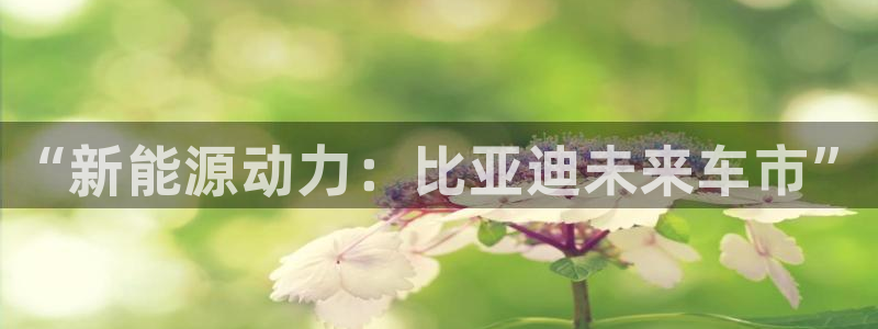 新宝gg黑平台:“新能源动力:比亚迪未来车市”