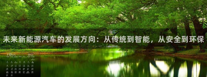 新宝gg平台怎么样：未来新能源汽车的发展