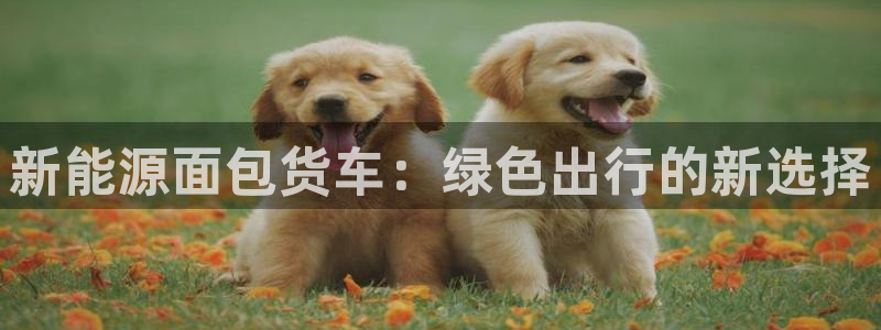 新宝gg娱乐客户端下载:新能源面包货车:绿色出行的新选择