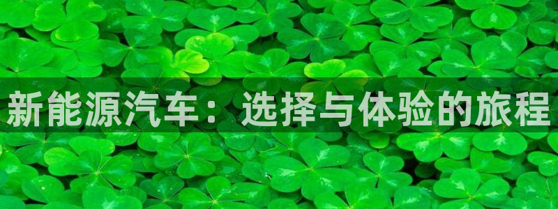 新宝GG管理:新能源汽车:选择与体验的旅程
