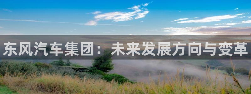 新宝gg招商-299136:东风汽车集团:未来发展方向与变革