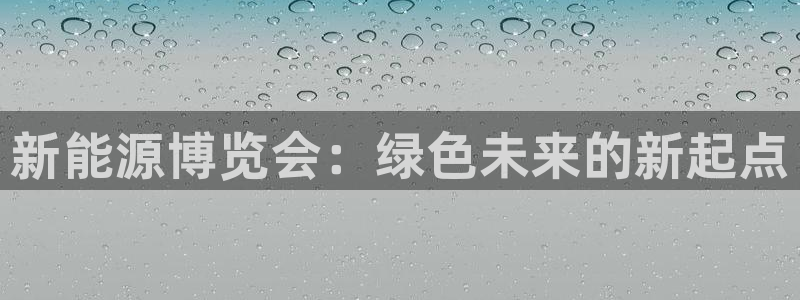 新宝gg手机版下载:新能源博览会:绿色未来的新起点