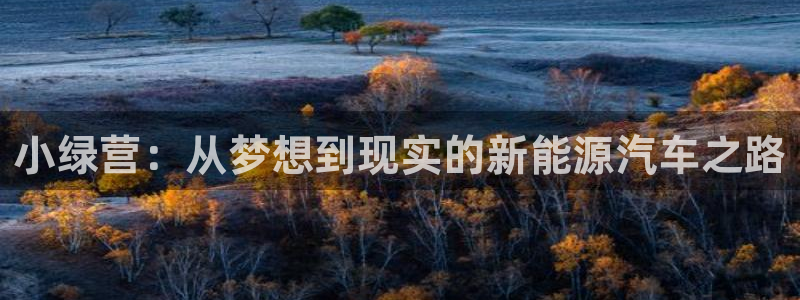 新宝gg老板64491:小绿营:从梦想到现实的新能源汽车之路