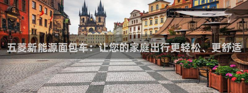 新宝gg2创造奇迹登录:五菱新能源面包车:让您的家庭出行更轻