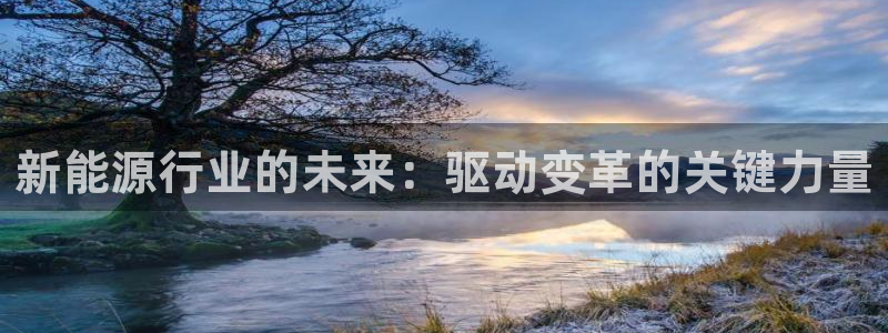 新宝gg手机版下载