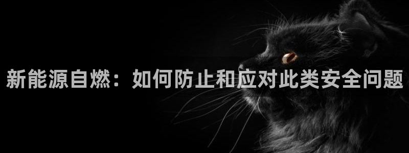新宝 gg 登:新能源自燃:如何防止和应对此类安全问题