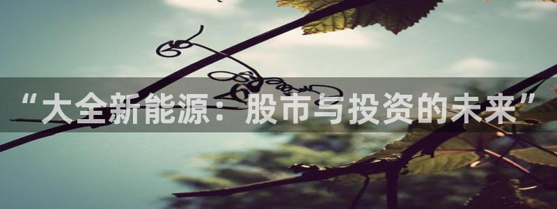 新宝gg违法:“大全新能源:股市与投资的未来”
