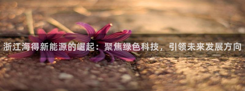 新宝gg注册首页:浙江海得新能源的崛起:聚焦绿色科技,引领未