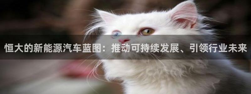 新宝GG亚洲：恒大的新能源汽车蓝图：推动